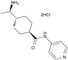 Y-27632 2HCl 129830-38-2